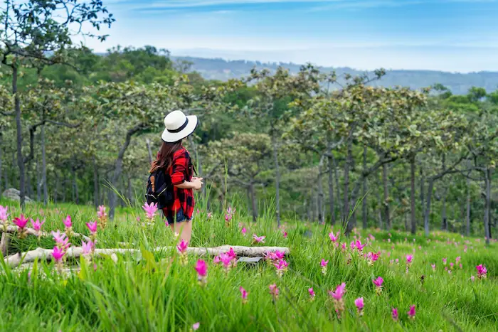 persona maravillado por el hermoso paísaje  y florecido gracias a la primavera