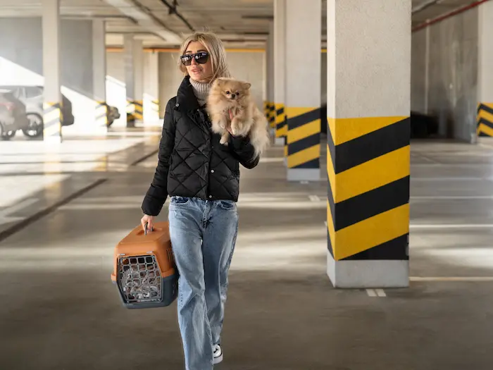 Consejos prácticos para viajar con tu mascota