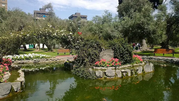 Bosque El Olivar