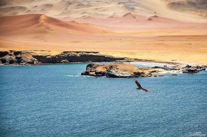 Paracas