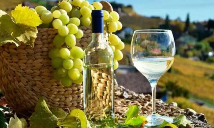Día Nacional del Pisco