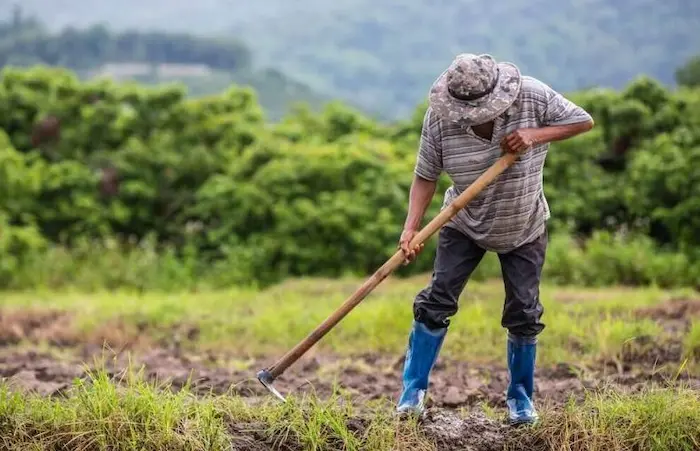 Día del Campesino